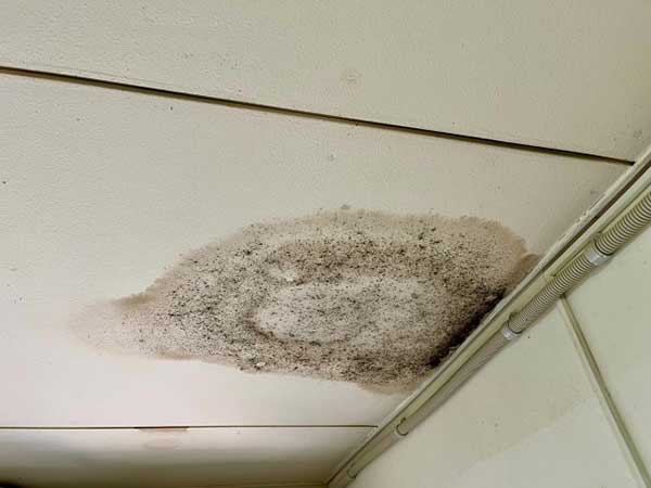 防水のメンテナンスのサイン：雨漏りしている