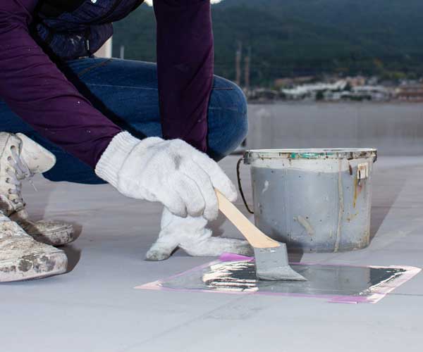 美しさへのこだわり