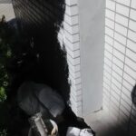京都市右京区にてマンション外壁タイルの補修工事 施工後